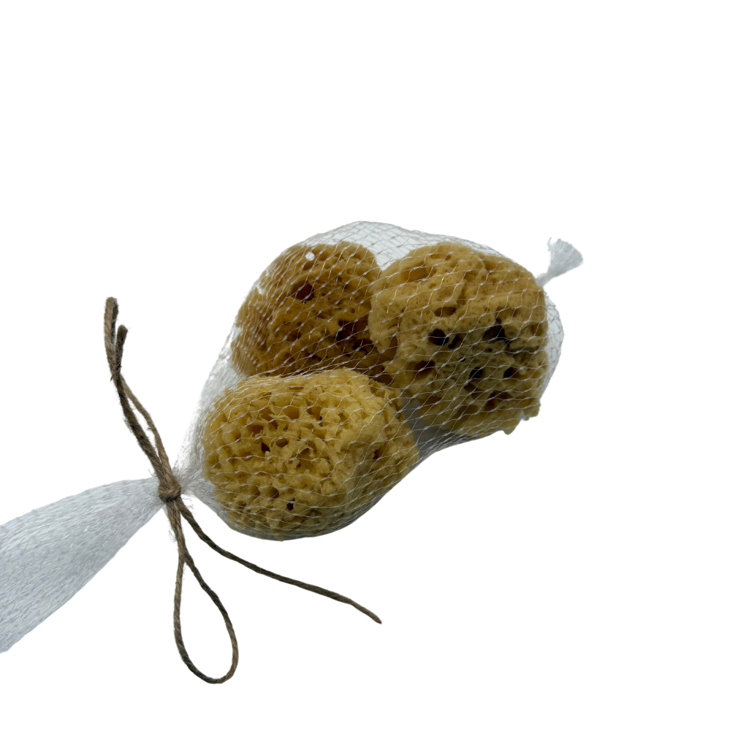 Natural Sea Wool Facial Sponge (2–3”, 3-Pack) | Ultra Soft Face Sponge for Cleansing & Makeup Removal | Sensitive Skin, Rich Lather |