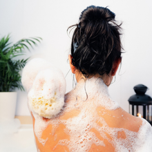 Load image into Gallery viewer, Natural Sea Wool Sponge (6–7″) Ultra Soft, Rich Lather Bath & Shower Sponge