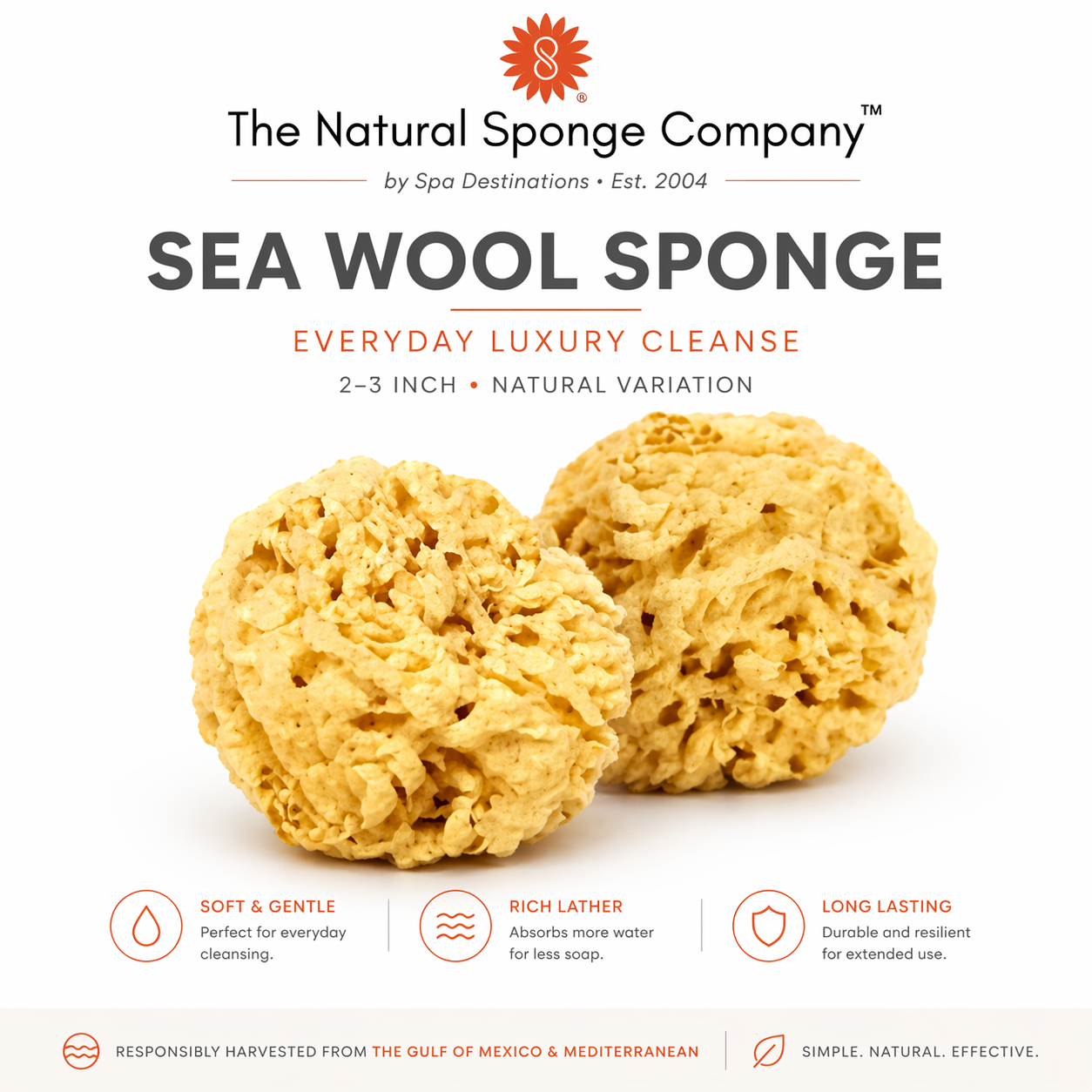 Facial Cleansing & Exfoliating Kit | Natural Sea Wool Sponges (2–3″, 2-Pack) + Loofah Pads (6-Pack)