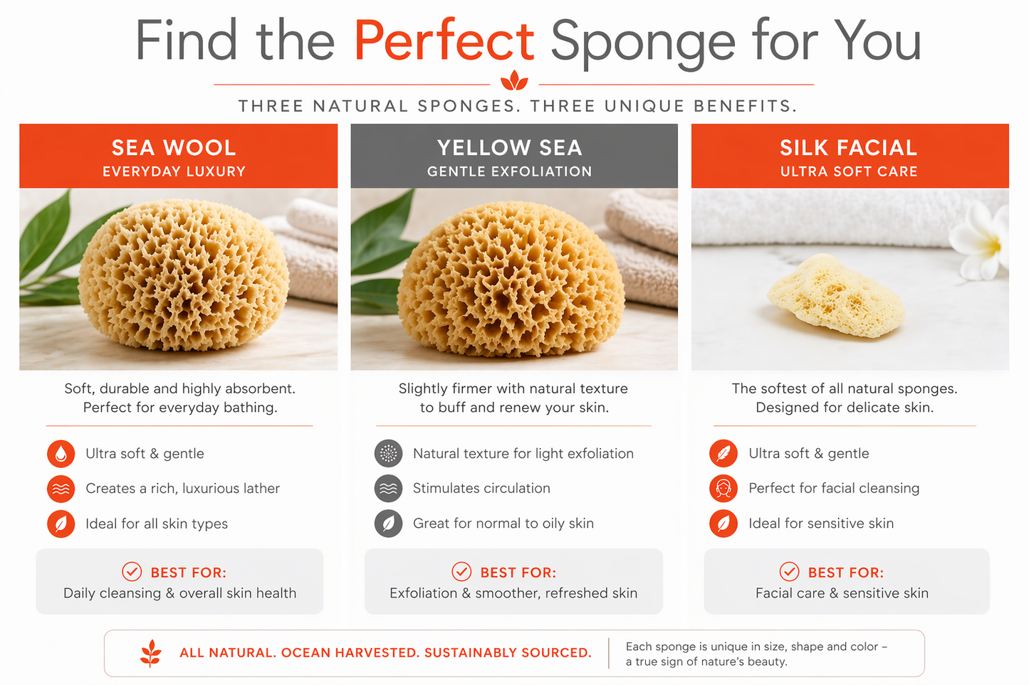 Spa Destinations Natural Sea Sponge Family Pack, 6-Piece Set, Sea Wool and Yellow Sea Sponge with Silk Facial