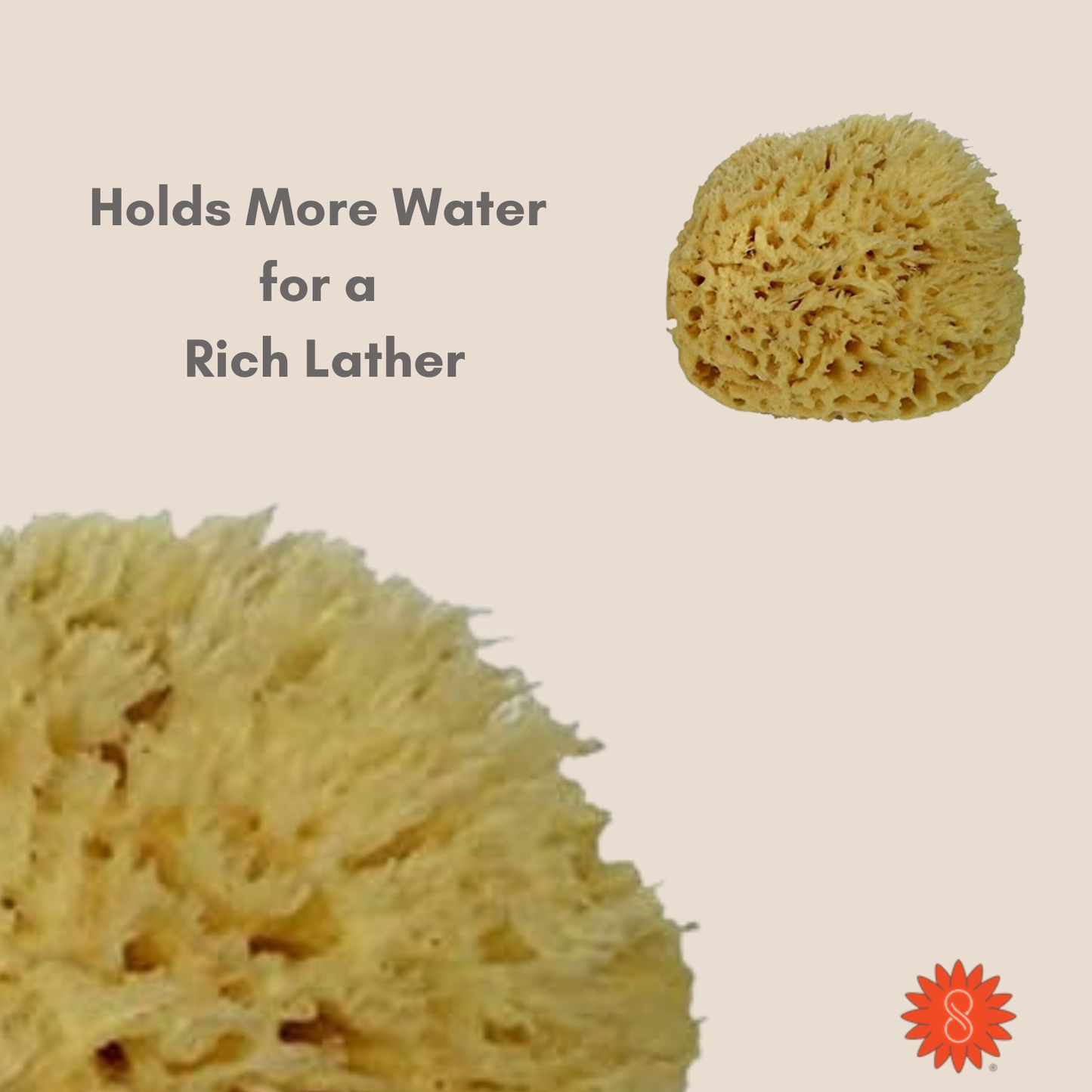 Natural Sea Wool Sponge (6–7″)   Ultra Soft, Rich Lather Bath & Shower Sponge