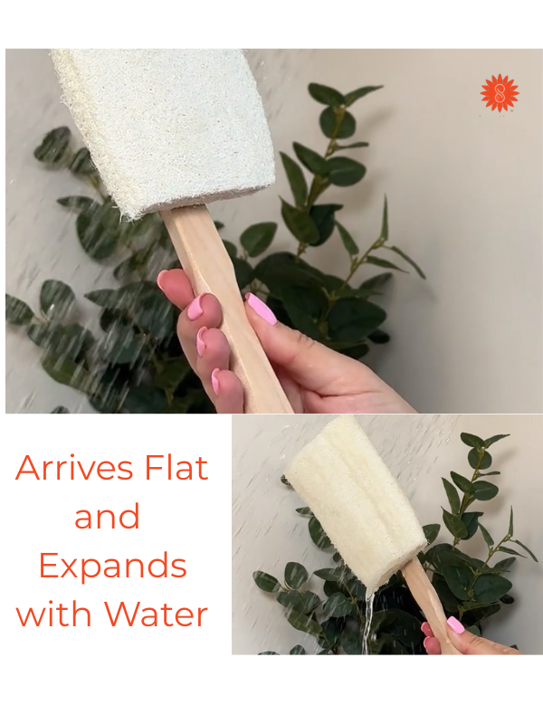 ULTIMATE LOOFAH BACK BRUSH WITH DETACHABLE WOODEN HANDLE “NATURAL RENEWABLE RESOURCE”