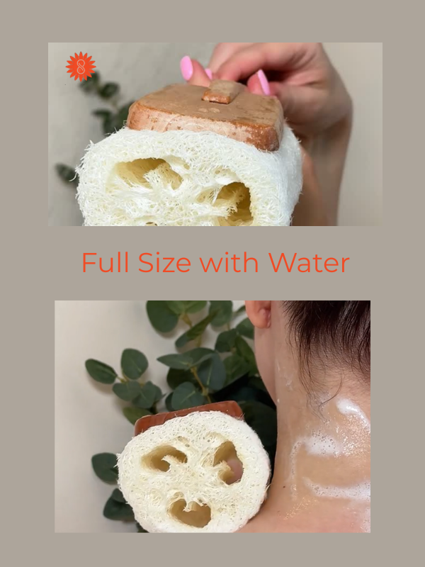 ULTIMATE LOOFAH BACK BRUSH WITH DETACHABLE WOODEN HANDLE “NATURAL RENEWABLE RESOURCE”