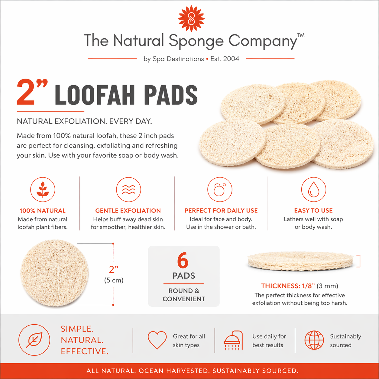 Facial Cleansing & Exfoliating Kit | Natural Sea Wool Sponges (2–3″, 2-Pack) + Loofah Pads (6-Pack)