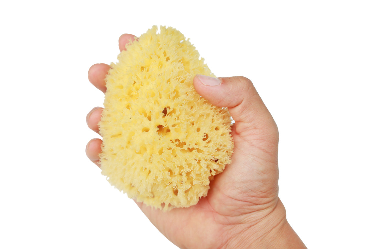 Natural Yellow Sea Sponge (4–5″)   Rich Lather Bath & Shower Sponge with Medium Exfoliation