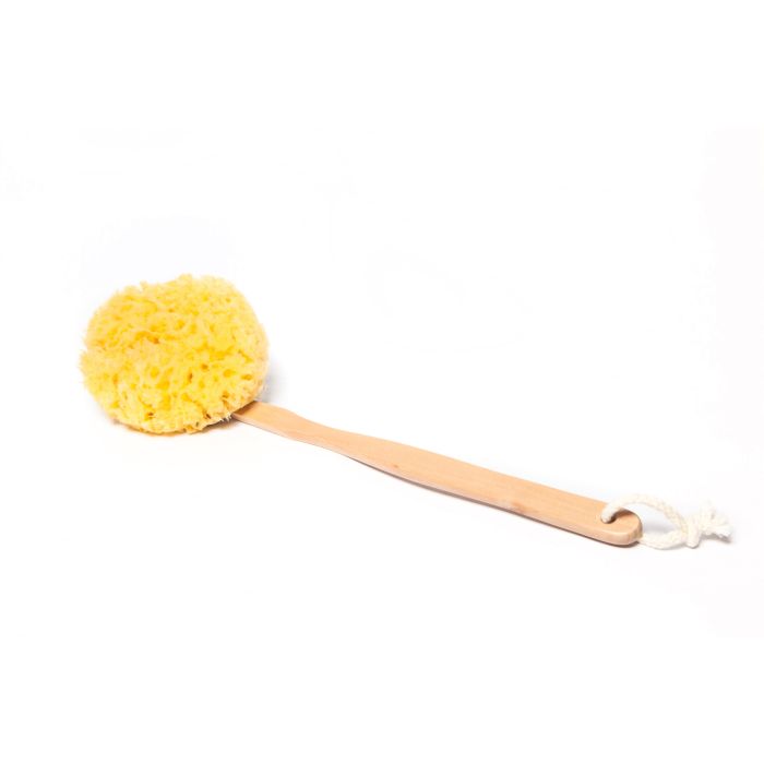 Natural Yellow Sponge on a stick with detachable handle for Men and Women Shower