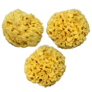 NATURAL FACIAL SEA WOOL SPONGE 2-3″ (3) PACK “NATURAL RENEWABLE RESOURCE”