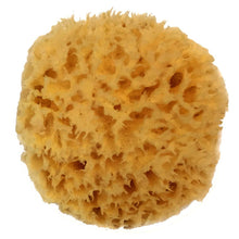 Load image into Gallery viewer, best natural sea wool sponge for body bath shower
