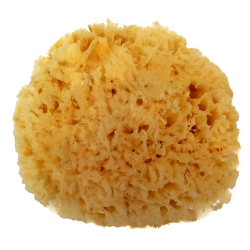 best natural sea wool sponge for bath shower biodegradeable sustainable 